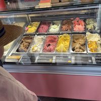   at Island Gelato Company in Auckland