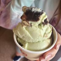   at Island Gelato Company in Auckland