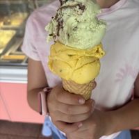   at Island Gelato Company in Auckland