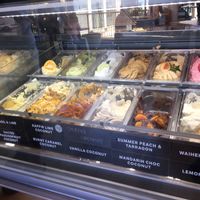 All Vegan! at Island Gelato Company in Auckland