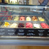 Vegan cabinet clearly marked at Island Gelato Company in Auckland