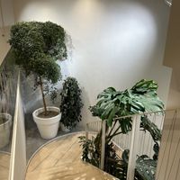   at Loving Hut - Zlicin in Prague