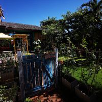Thier lovely back garden at Bep Chay Co May in Vung Tau