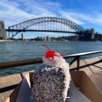 Vegan Lamington ($8.50) at Miss Sina - Surry Hills in Surry Hills