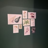 Inside at SLA - Claude Debussylaan in Amsterdam