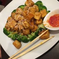 Tofu with broccoli at Coco Garden in Rochester