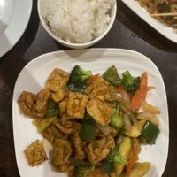 Thai vegetable and tofu with Chef’s choice of vegan sauce   at Coco Garden in Rochester