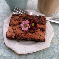 Delicious vegan brownie at Toet in Groningen