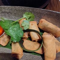 Spring rolls at Bua Thai Ramen in New York City
