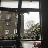 Plants! at Falla in Wroclaw