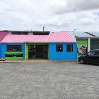 Hard to miss in this color scheme at Providence NZ in Dargaville