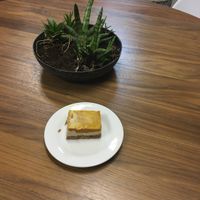 Pumpkin Cheesecake Bars (GF, DF) at Birdhouse Cafe in Hattiesburg