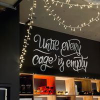   at Sattgrün Kolumba Viertel - Mitte in Cologne