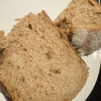   at Sattgrün Kolumba Viertel - Mitte in Cologne