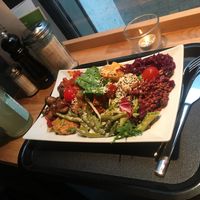 Medium dish at Sattgrün Kolumba Viertel - Mitte in Cologne