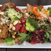 Medium plate  at Sattgrün Kolumba Viertel - Mitte in Cologne