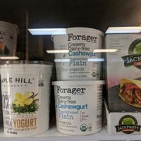 Cashew Yogurt at Green Earth Health Food Market & Cafe in Oneonta