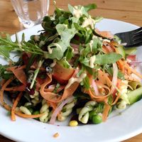 A whole heap of salads (May 2024) at The GreenHouse Cafe in Shrewsbury