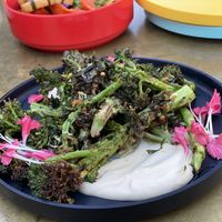 Broccolini  at Satellite in Santa Barbara