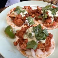   at Satellite in Santa Barbara