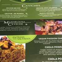 Vegan menu  at Mestizo Fusion Cuisine in West Palm Beach