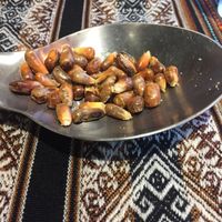 Toasted corn kernels  at Mestizo Fusion Cuisine in West Palm Beach
