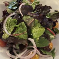   at Terramia Ristorante in Boston