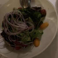   at Terramia Ristorante in Boston