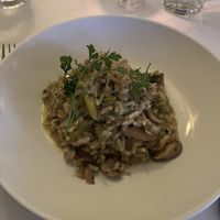   at Terramia Ristorante in Boston