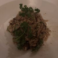   at Terramia Ristorante in Boston