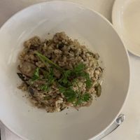 Mushroom and asparagus risotto oh myyyy  at Terramia Ristorante in Boston