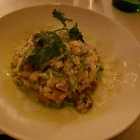 Vegan risotto at Terramia Ristorante in Boston