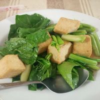 Fried tofu chinese Brokkoli at Thammakerdsub in Bangkok