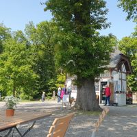  at Creme Eis in Wuppertal