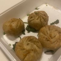   at Uit India in Alkmaar