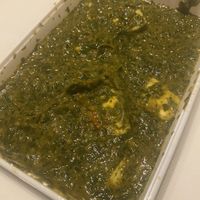   at Uit India in Alkmaar