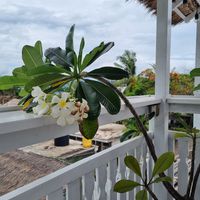  at Samadhi Living - Bliss Casa in 