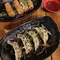 Spring Rolls & Gyoza Dumplings at Ensō Sushi in Manuel Antonio