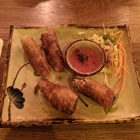 Spring rolls at Quan Xanh in Leipzig