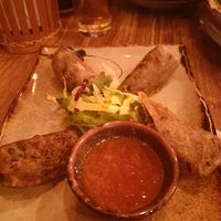 Fried spring rolls at Quan Xanh in Leipzig