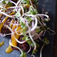 sushi at Secret Garden in Berlin