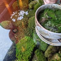  at Secret Garden in Berlin