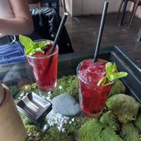 Interior at Secret Garden in Berlin