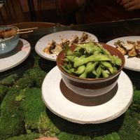 Edamame, gyoza at Secret Garden in Berlin