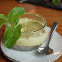 Green harmony at Secret Garden in Berlin