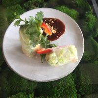 Avocado rolls  at Secret Garden in Berlin