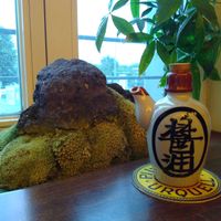 Window decorations at Secret Garden in Berlin