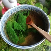 Shiso Tee at Secret Garden in Berlin