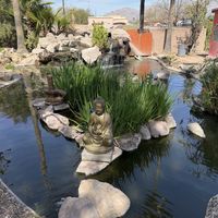   at Govinda's Natural Foods Buffet in Tucson