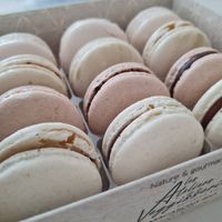 Box of yummy macarons at Le Petit Colibri in Lyon